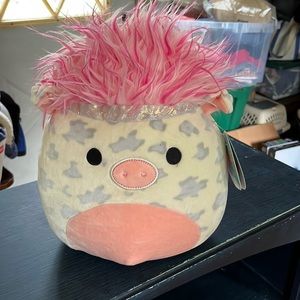 Rosie needs a new barn. She’s well behaved and clean and has fabulous hair!